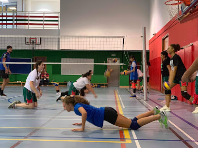 أكاديمية ريو للكرة الطائرة دبي - أم القيوين - +971 54 434 2274