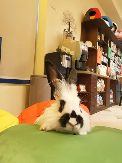 عيادة DKC البيطرية - United Arab Emirates|Motor City - Dubai|Detroit Rd|Daytona House