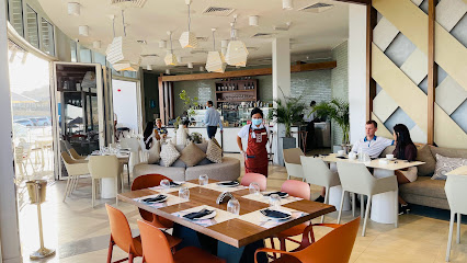 1484 بواسطة Puro - الشارقة - +971 4 815 7333