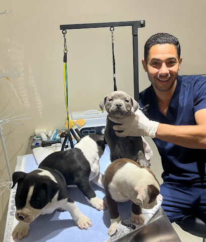 بيتس هيلث كير - أم القيوين - +971 56 995 5506