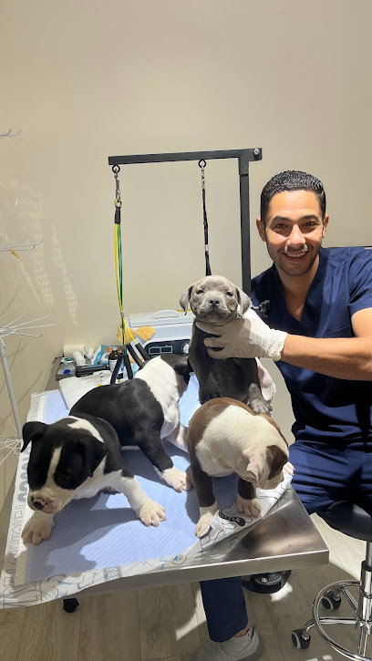 بيتس هيلث كير - United Arab Emirates|Qidfiʻ - Fujairah