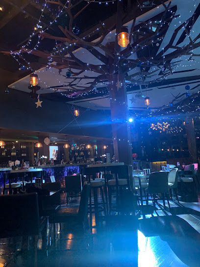 أعلى وأسفل - United Arab Emirates|Al Danah - Zone 1 - Abu Dhabi|Sheikh Hamdan Bin Mohammad St(5th St)