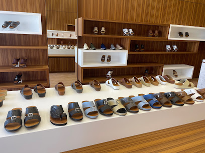 كاريتي - الشارقة - الشارقة - +971 6 561 1152