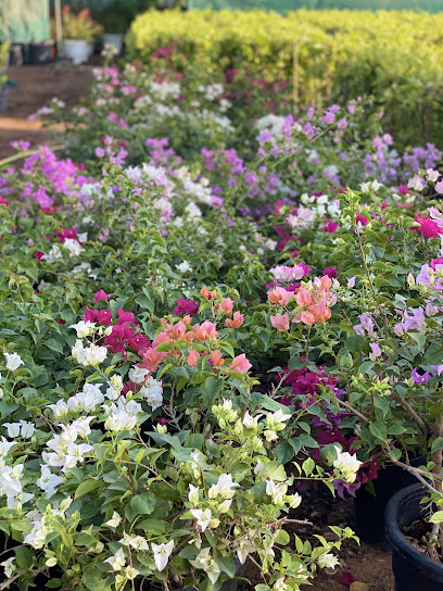 مبيعات حضانة اسرار - United Arab Emirates|Fujairah|Unnamed Road