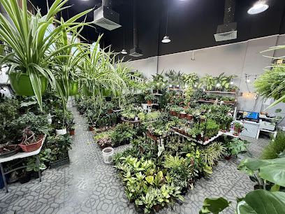 ازهار علي محمد سعيد - الشارقة - +971 55 949 9971