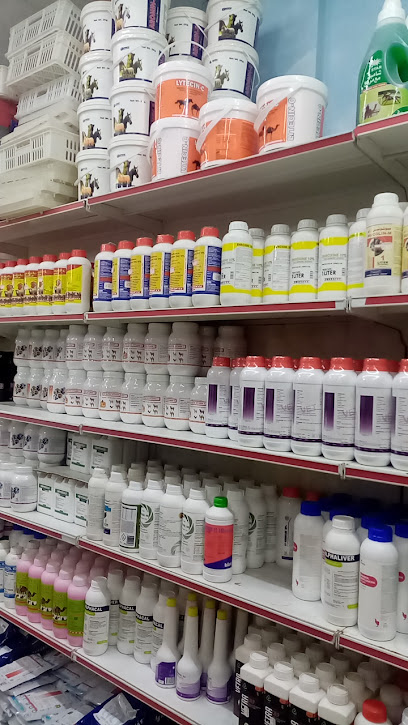 صيدلية الصفوة البيطرية - United Arab Emirates|Roul Dibba - Fujairah|H8XC+WF8