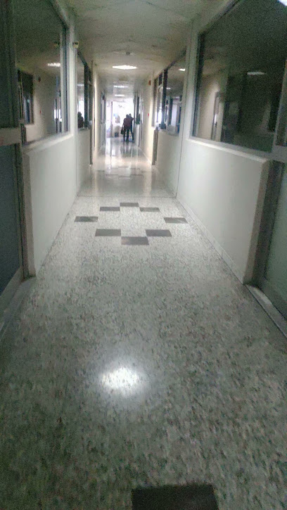 AMGA للمحاسبة والضرائب والتدقيق ، دبا الفجيرة - الممتاز للحسابات العامة ، دبا الفجيرة - United Arab Emirates|Fujairah|Riffa