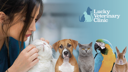 عيادة لاكي البيطرية (LVC) - أم القيوين - +971 4 395 1530