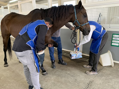 سلسبيل للادوية البيطرية ذ - أم القيوين - +971 50 454 6350