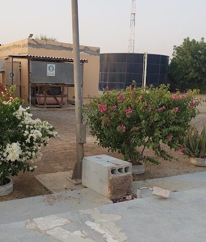 الذيد STP - الشارقة -