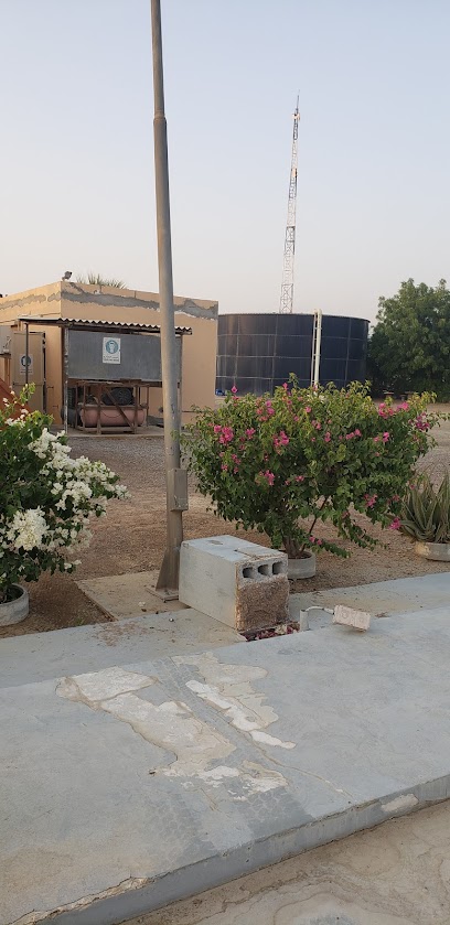 الذيد STP - United Arab Emirates|Sharjah|Unnamed Road|7XCG+9HJ