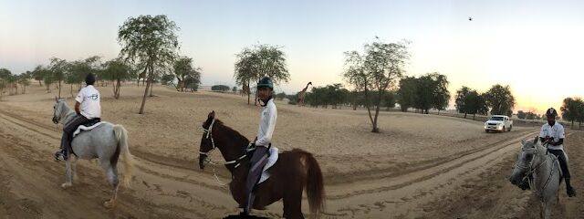 إسطبل القدرة على التحمل - الشارقة - +971 50 166 9497