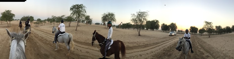 إسطبل القدرة على التحمل - United Arab Emirates|Dubai