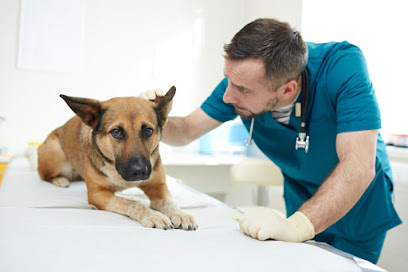 العيادة الكندية البيطرية - أم القيوين - +971 6 524 7222