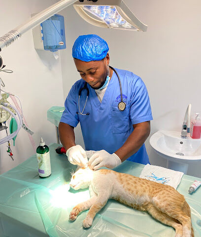 Clinipets Vet Clinic - أم القيوين - +971 56 414 5535