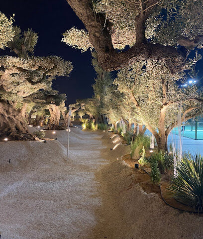 محمية قطورة - الشارقة -