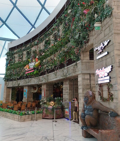 أبو ظبي - الشارقة -