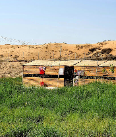 مزرعة وتخييم يعقوب - الشارقة - +971 56 146 0511