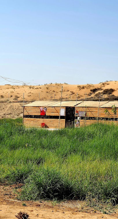 مزرعة وتخييم يعقوب - United Arab Emirates|Al helio - Al Zahya - Ajman