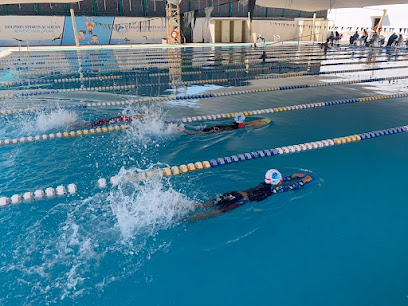 أكاديمية دولفين الرياضية - الشارقة - +971 56 338 8665