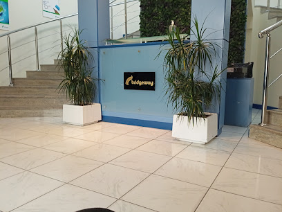 بريدجواي لخدمات الشحن والتخليص ذ - الشارقة - +971 4 886 1170