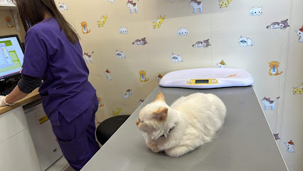 عيادة هابي باوز البيطرية ش.ذ. - أم القيوين - +971 50 898 4782