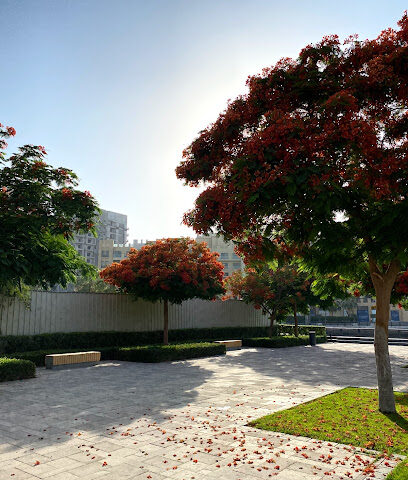 منطقة عشب الجداف الشماكي - الشارقة -