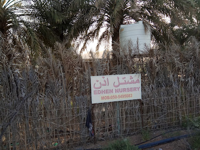 مشتل اذن - أم القيوين - +971 50 549 5083