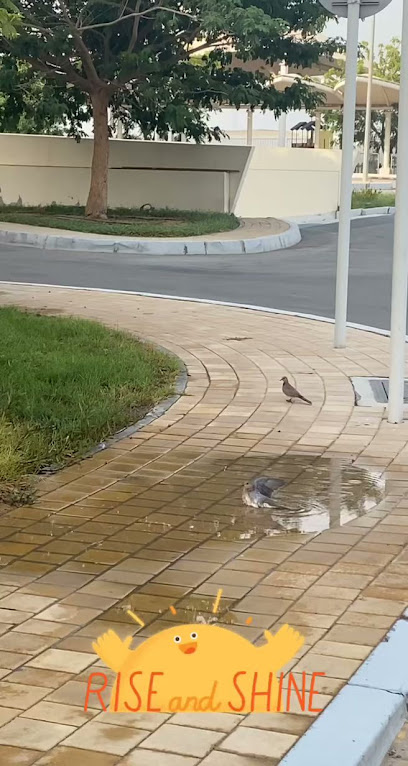 ملاعب تنس نادي أبوظبي للسيدات - United Arab Emirates|Al Muzoun - Khor Al Maqta'a - Abu Dhabi|9FXC+JWF