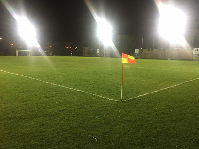 ملعب DIP لكرة القدم - الشارقة - +971 50 889 3828