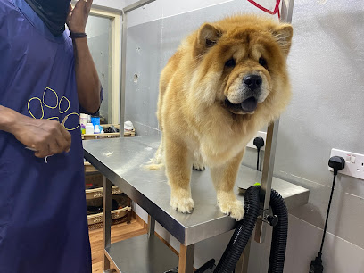 عيادة فيت كير البيطرية - أم القيوين - +971 50 995 9248