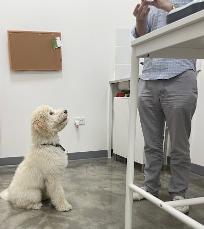 عيادة ومختبر ساب البيطرية - أم القيوين - +971 4 591 1007