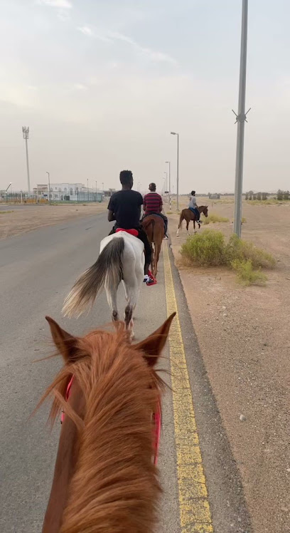 اسطبل مزاحم للفروسية - United Arab Emirates|Al Aamerah - Abu Dhabi|6HWM+JQ