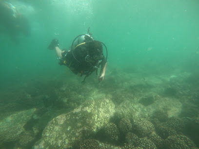 الفجيرة للغوص - الشارقة -