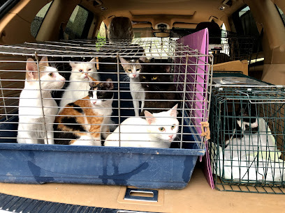 بيتس عيادة واحة ابوظبي البيطرية - أم القيوين - +971 2 676 7100