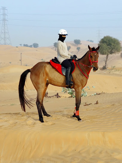 اسطبلات بركان - United Arab Emirates|Alzubair - Sharjah