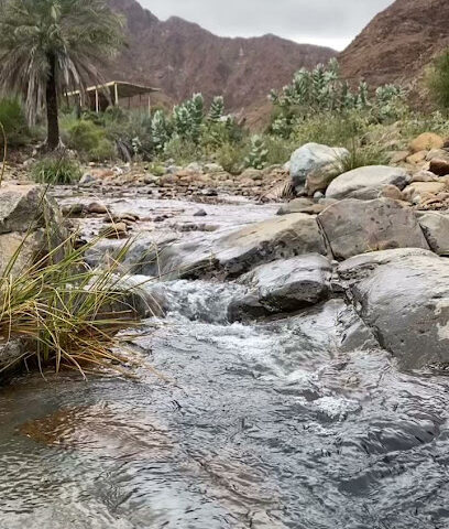 الجزيرة الفجيرة - الشارقة -