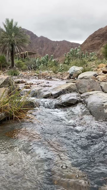 الجزيرة الفجيرة - United Arab Emirates|Fujairah|شارع دبي|479V+7RP
