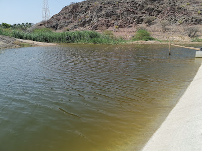 بحيرة ليم - الشارقة -