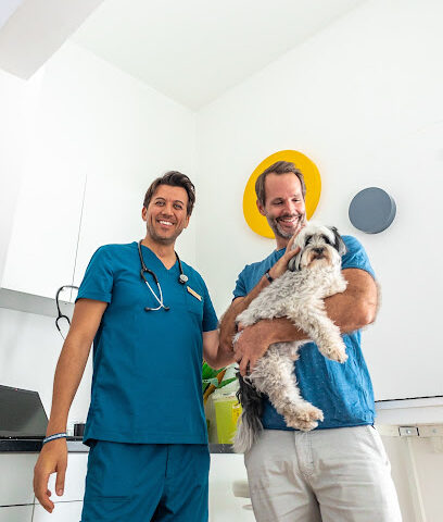 VETS & PETS Dubai - عيادة بيطرية إيطالية - أم القيوين - +971 58 599 8387