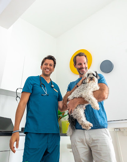 VETS & PETS Dubai - عيادة بيطرية إيطالية - United Arab Emirates|Jumeirah 3 - Dubai|754A Al Wasl Rd