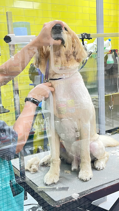 عيادة هب البيطرية - United Arab Emirates|Industrial Area - Muwailih Commercial - Sharjah|behind thumbay hospital daycare|University City Rd