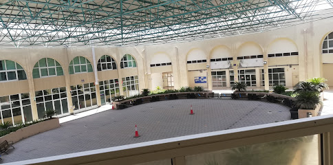 معهد الجزيرة للعلوم والتكنولوجيا - الشارقة - +971 2 508 2700