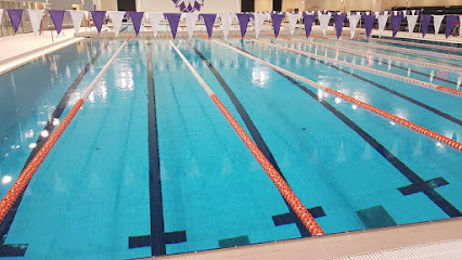 أكاديمية فورث لين للسباحة - الشارقة - +971 50 168 1557