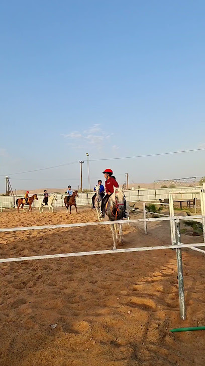 مربط المخاول للخيول العربية - United Arab Emirates|Um Ghafah - Abu Dhabi|4X45+2H