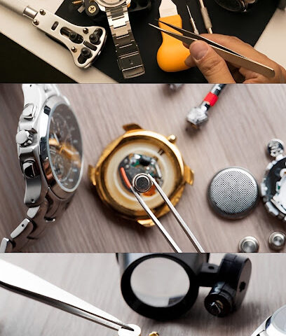 الرملة ووتشوس - أم القيوين - +971 55 100 6127