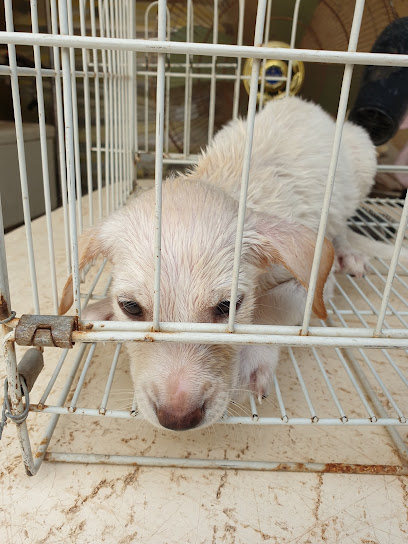 مركز رأس الخيمة البيطري - United Arab Emirates|Al Dhait South - Ras al Khaimah|E11|Near KFC