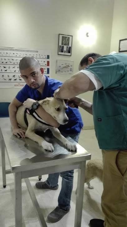 المستشفى البيطري الاسترالي - United Arab Emirates|Khalifa City - Al Forsan Village - Abu Dhabi|opposite A|St. 12