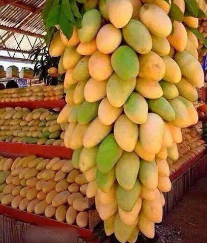 سوبر ماركت دار الفلاح - الشارقة - +971 6 748 8096