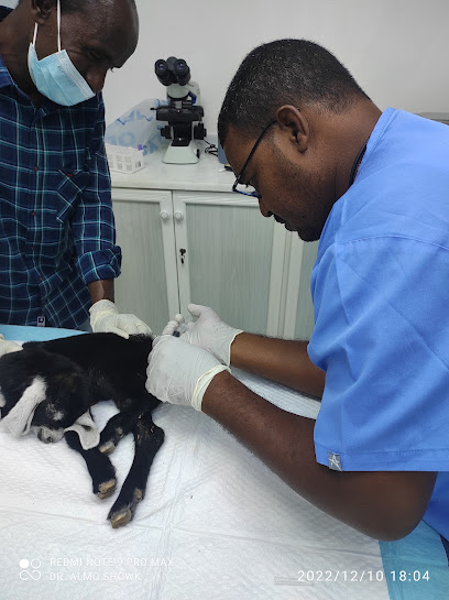 عيادة التهامي البيطرية - United Arab Emirates|Al Shahamah - New Shahamah - Abu Dhabi|Al Shahama - Abu Dhabi Rd